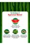 Watermelon Toothpaste With Soft Toothbrush - 4