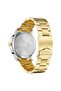 Men's Gold Stainless Steel Watch, Gray Dial | Trnda-43g - 4