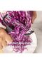 The Ultimate Kitchen Tool Wide-Blade Cabbage Shredder & High-Speed Vegetable Peeler - 7