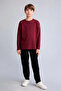 Long Sleeve Boys' Sweatshirt E9661A8/Br194 - 2