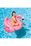 Flamingo Ride-On - 3