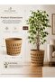 Hand Knitted Large Wicker Flower Pot Basket Decorative Natural Flower Pot 26X27 cm - 2