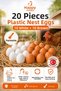 Artificial Chicken Eggs 20-Pack 10 White 10 Brown Plastic Foil Eggs Original Size Dyed