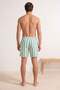 Yellow-Green Striped Regular Length Regular Fit Men's Swim Shorts Tmnss26Ds00009 - 3