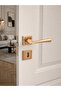 Stainless Steel Hazal Albifirin Color Square Room Door Handle with Rosette (1 Set)
