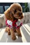 Small Breed - Ruffled Plaid Scallop Collar Dog Accessory – Premium Pet Collar with Stylish Bow - 5