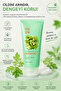 Pure Essence Mugwort Foam Cleanser - Skin Tone Equalizing Cleansing Foam 150ml