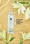 Senses White Lily Scented Shower Gel - 250 Ml, Set of Three - 3