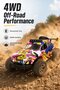 Wild Racing Model Rally RC Car - 2.4GHz Remote Control 4WD Vehicle - 4