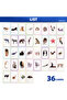 Animals 36 Double-Sided Animal Recognition Cards for Kidsren's Enlightenment and Learning through Pi - 6