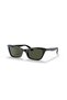 0RB2299 901-31 55