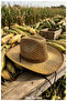 Straw Sun Hat for Men and Women (55-59 cm) - 3