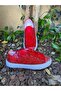 Henna Night Red Lace and Stone Shoes - 4