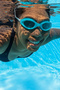 Deniz Havuz 14+ Swimming Goggles 02 Petrol - 2