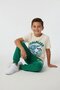 Dark Green Boy's Shark Print T-Shirt and Sweatpants 2-Piece Set 23907 - 4