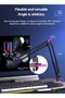 ميكروفون ألعاب RGB مع ذراع قابل للتعديل، ميكروفون مكثف USB/Type-C مع فلتر بوب، أسود - 7