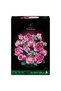 Pink Rose Bouquets 10374 - 3