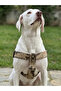 Dog Chest Harness Large Breed Adjustable 4 cm Width Column Cord Tan & Khaki & Cream - Camouflage - 3