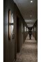 مصباح حائط LED من ماتريكس ميلودي - تصميم عصري وأنيق، هيكل فضي، إضاءة LED بيضاء - 5