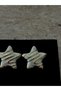 Steel Inoxidable Gold Silver Earrings |   Gift Boxed - 2