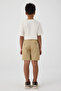 Boy Brown Shorts - 4
