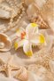 Lotus 9 cm Bone Hairpin Buckle – Large Size Hairpin with Yellow and White Flower Detail - 5