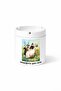 Animal Burmese Cat Sacred Burmese Cat Double Sided Printed Porcelain Magic Mug Cup