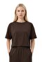 Premium - Sway Collection |   Brown Modal Crew Neck T-Shirt