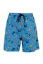 Ml Luela 19Hs106 5Fx Blue Men's Swim Shorts