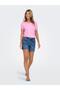 Denim Shorts 15372986