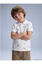 Lcw kids polo neck printed boys' t-shirt - 6