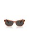 Sunglasses Sk6057 56 109187 - 4