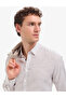Brown Striped Regular Fit Hidden Button Collar White Long Sleeve Shirt 50320886-Vr084 - 2