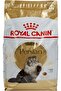 Feline Adult Cat Dry Food 4Kg - 3