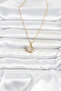 Chain Gold Color Zircon Stone Rabbit Model Women's Necklace - Ebj260612W43937 - 2