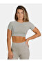 Apex Seamless Shorts - Light Green