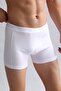بوكسر كلاسيكي من القطن المدمج من ماركة Mısırlı Modal by TENCEL باللون الأبيض - 4