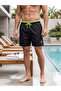 Men's Quick-Drying Swim Shorts with Pockets, Elastic Mesh Lining, and Lace-Up Fastening, Black Swim Shorts - 3