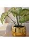 Artificial Taro Plant In Ceramic Pot H19cm - Green - 2