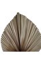 Natural Dried Palm Leaves 40x60cm - Natural - 4