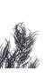 Artificial Reed Stem 25.4x25.4x86.36cm - Black - 4