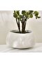 Quinn Polyresin Planter 39x21cm- White