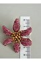 Pink-Green Zircon Stone Daisy Flower Earrings - 4