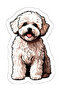 White Poodle Sticker Car, Motorcycle, Helmet, Laptop, Glass Sticker 13X8 cm