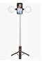 Selfie Stick Tripod, Extendable Bt Selfie Stick With Snapshot, Detachable Wireless Remote Control