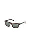 Dark Havana Polarized Injected Male Sunglasses