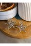 Women's Steel Star Zircon Stone Earrings - 4