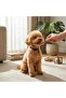 Adjustable, Clip-On, and Bell Collar for Cat and Dog - 3