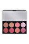 Ultra Blush Palette - 2