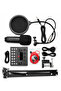 Condenser microphone and mixer - 2